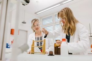lab