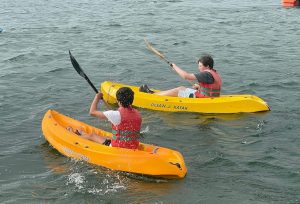 activity